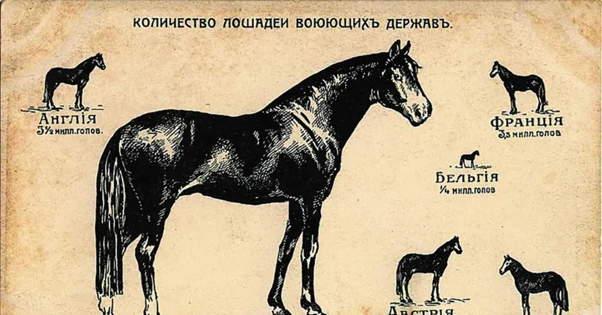 Сколько лошадей в мире. Численность лошадей в России. Страны по количеству лошадей. Численность лошадей по годам. Численность лошадей в мире.
