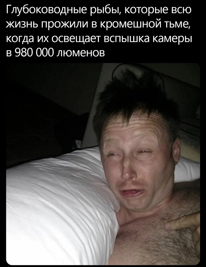 Глубоководные обитатели