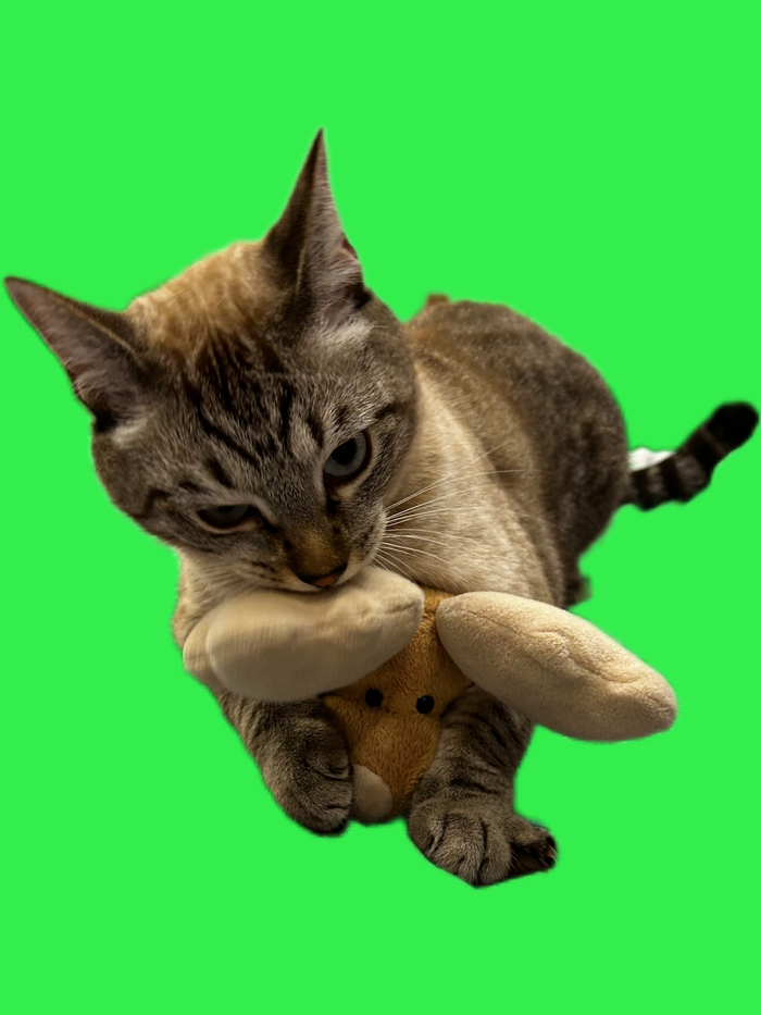 Сама доброта | Пикабу