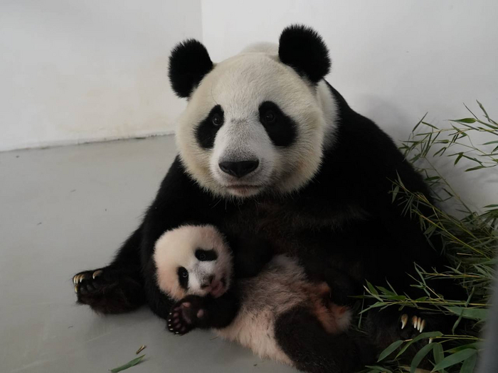 ��� ����������?..