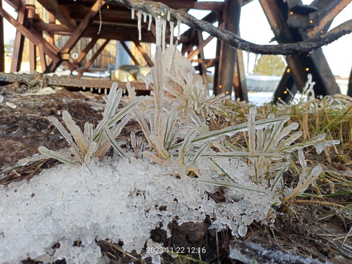 ��������������� �������