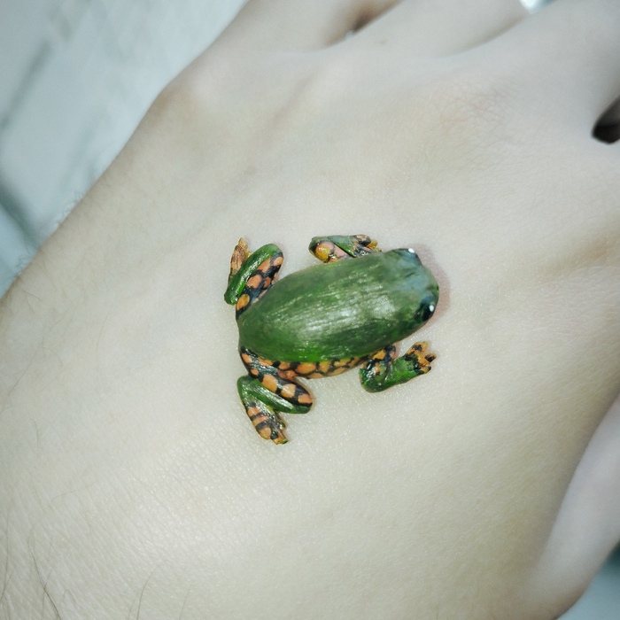 It is Wednesday my dudes! | Пикабу