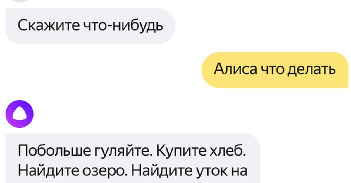 Просто не с кем поговорить. Алиса скажи что-нибудь. Алиса что ты делаешь. Алиса что мне делать. Скажи Алиса а есть другое что нибудь.