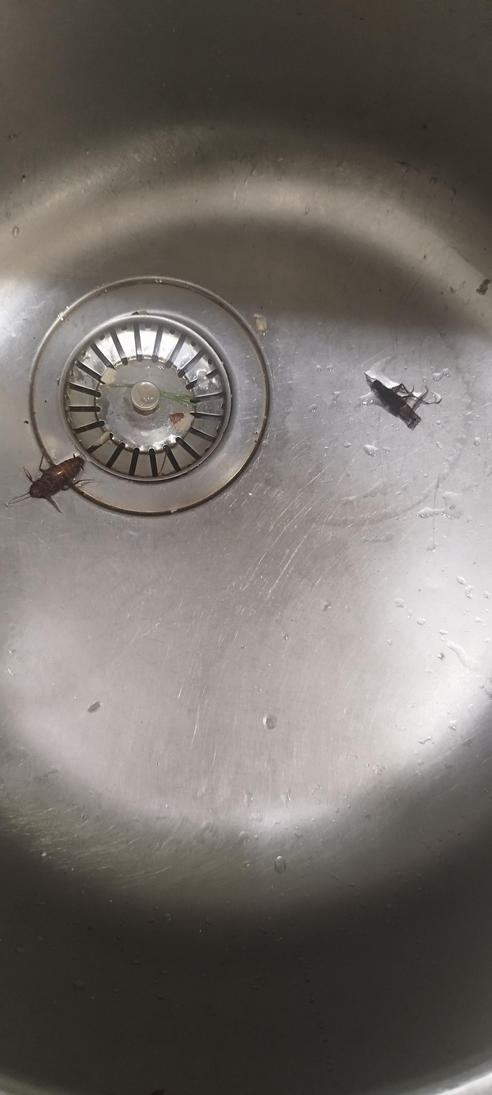 Новое утро. Новые свершения.| Хроники вторжения: 23.11.23