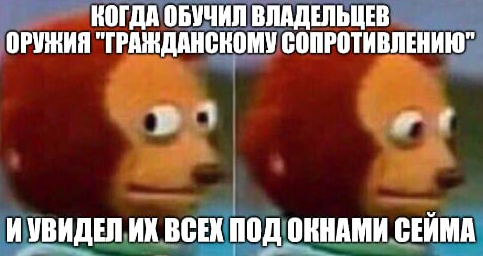 В Литве владельцев оружия обяжут прослушать курс по гражданскому сопротивлению