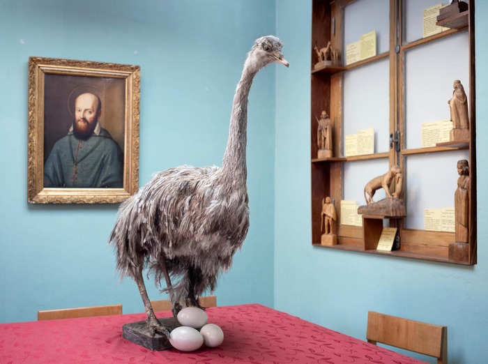 ФОТОГРАФИЯ МАРСИО ПИМЕНТЫ