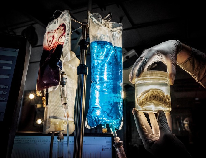 ФОТОГРАФИЯ МАКСА АГИЛЕРА-ХЕЛЛВЕГА.