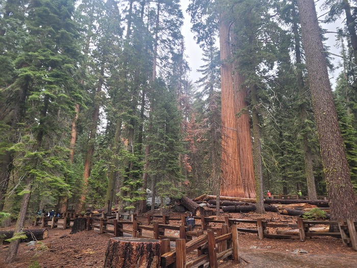 Sequoia National Park  , , ,  , , 