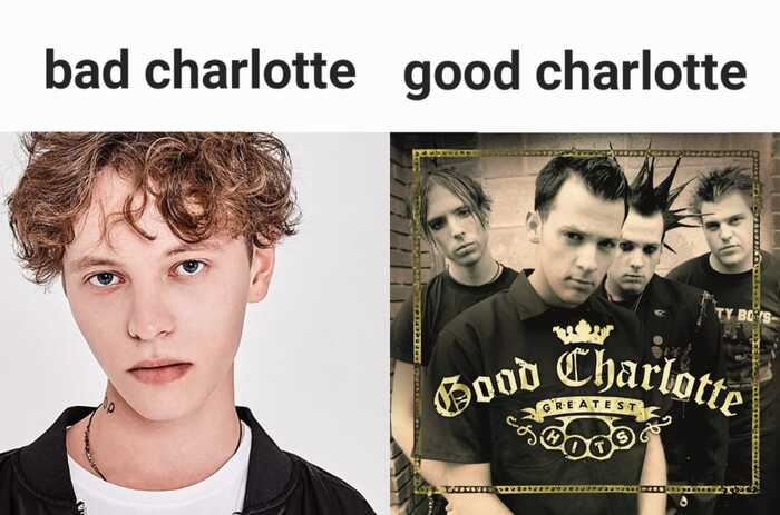 Шарлоты бывают разные