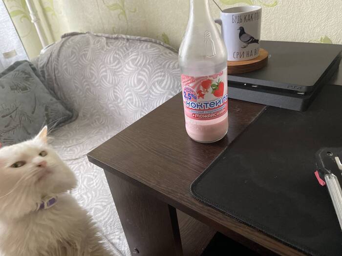 А ну дал мне корма!