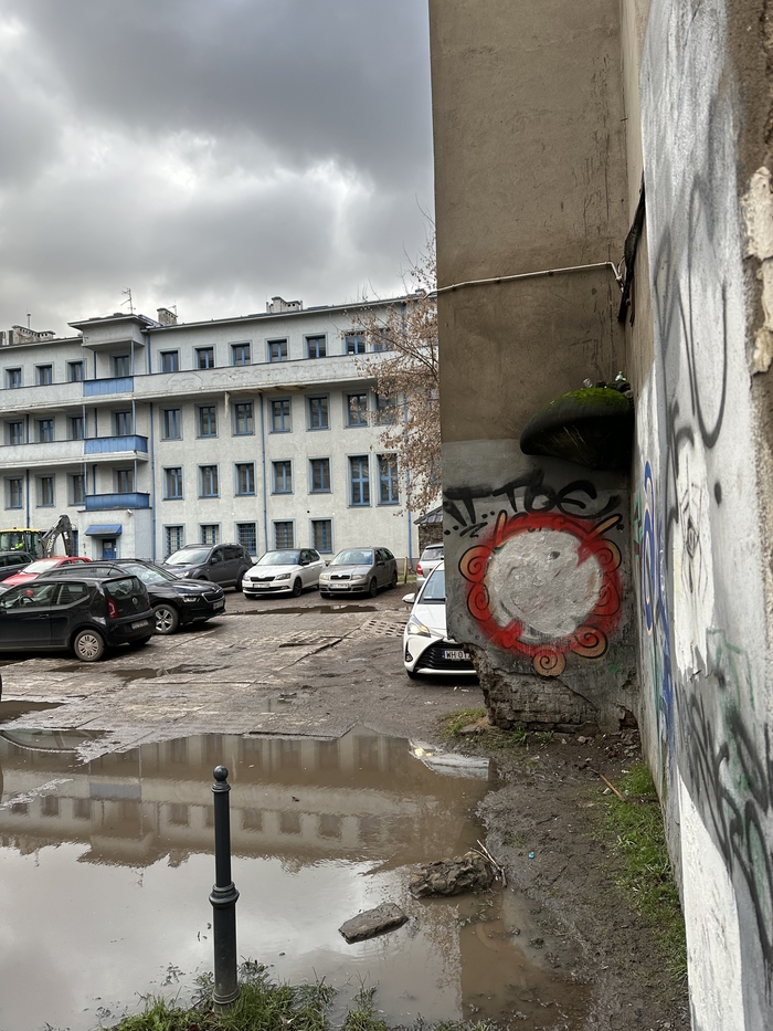 Жизнь в Польше (часть 2 - город Лодзь) Жизнь за границей, Польша, Европа, Эмиграция, Переезд, Длиннопост Жизнь в Польше (часть 2 - город Лодзь) Жизнь за границей, Польша, Европа, Эмиграция, Переезд, Длиннопост