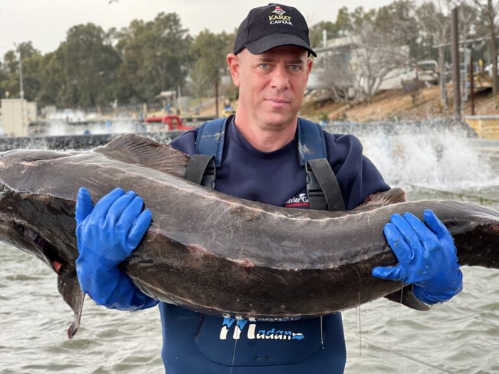  ,   Karat Caviar.   Karat Caviar