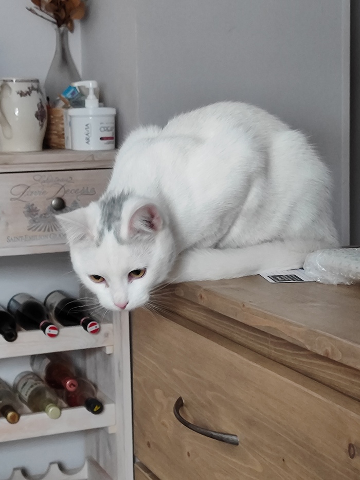 �� ��� ������ �� �������?