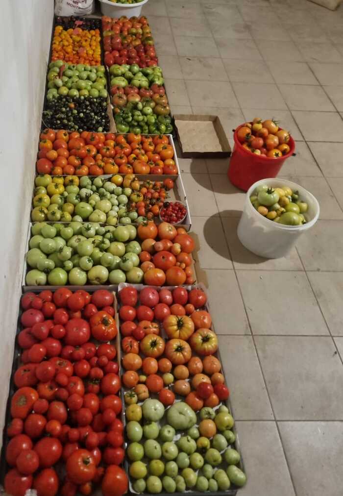 Урожай этого года. Жена перфекционист.