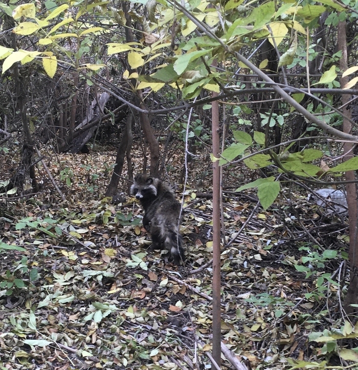 Мужик, я тебя запомнил