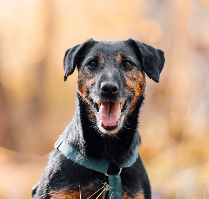 ��� ���������� ������ ����� ������ � ����� ������ ������, � ����� ��������, � ������� ��� �� ��� ���������.