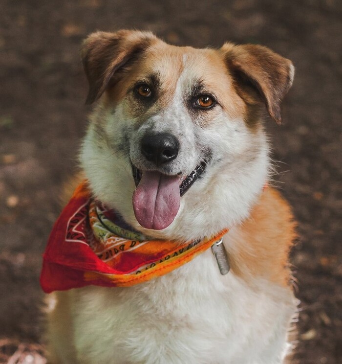 � ��� �������� ������� ����, ���� ���������� ������ ������. � ��� ���� ����� ������������� ������ �� ��������.