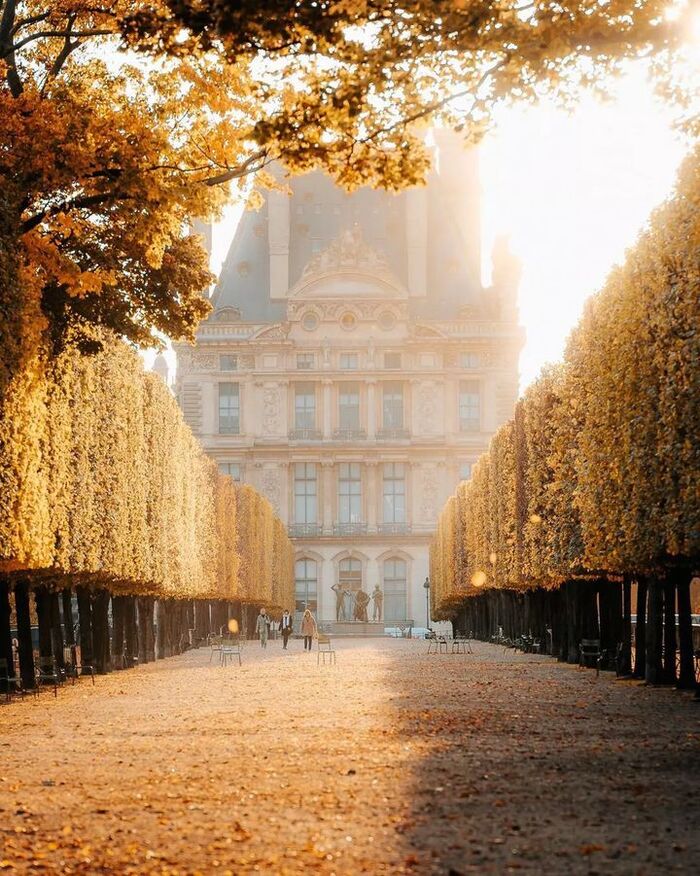 ���� �������