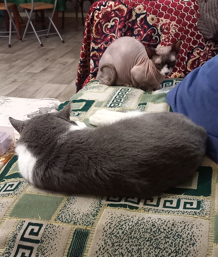 Обед в заводской столовой