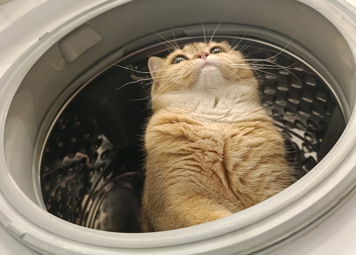 Негативный фон онлайн покупок на самом деле - позитивный!