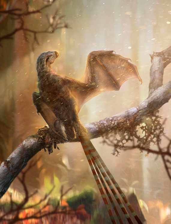 Дракон Палеонтология, Доисторические животные, Динозавры, Картинки