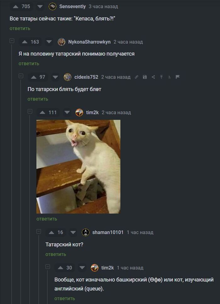 �������� �����