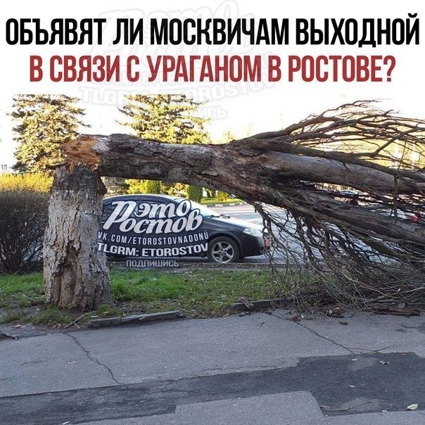 Выходной Юмор, Ураган, Выходные, Картинка с текстом