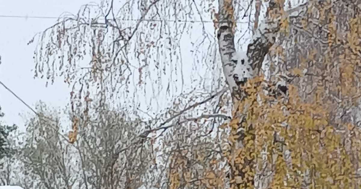 На моторном масле обжаривают | Пикабу