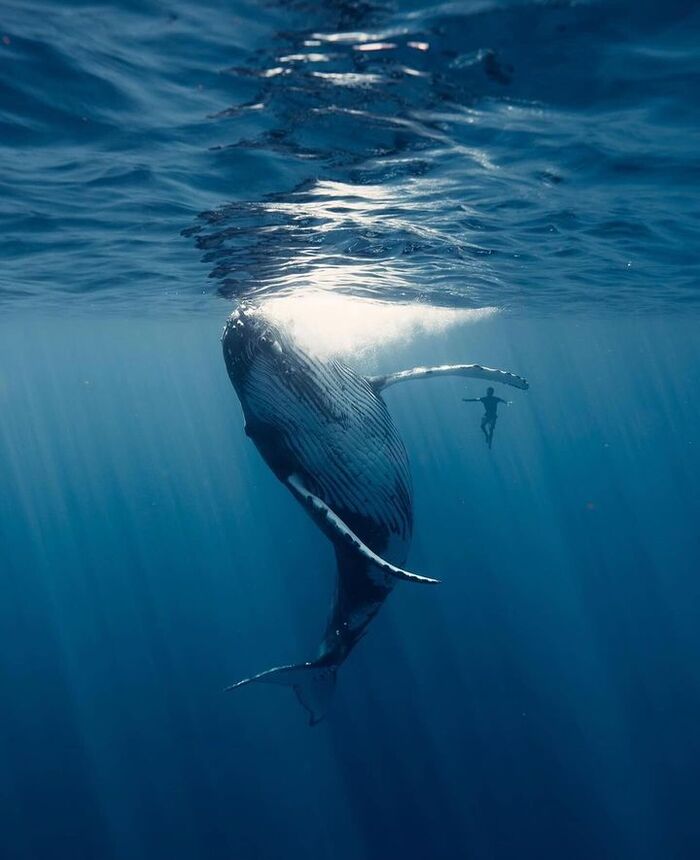 Голубая бездна