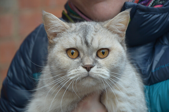 ������ ������ �� ����� - � �� ����� � ���� �����