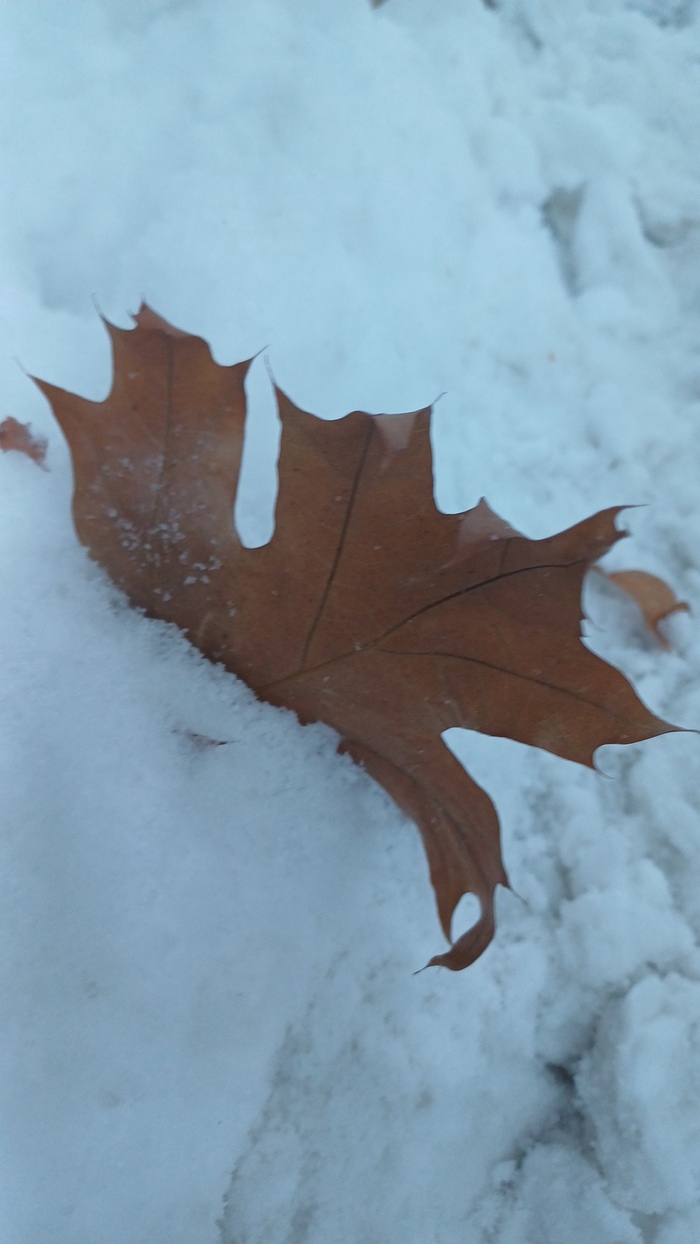 � ����� � ������