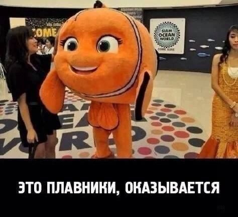 , Telegram (),   , 