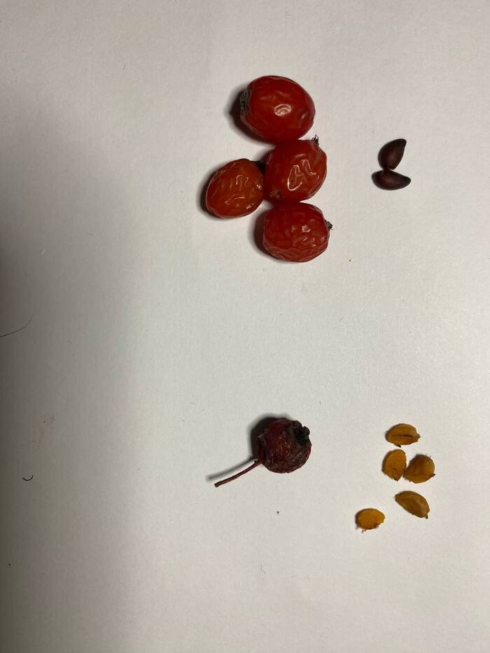 ��� ��������� ����� ���������� � ������