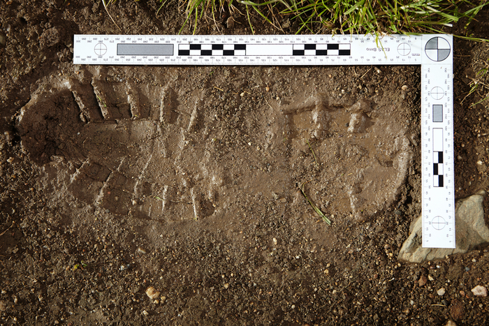 Снимок следа подошвы обуви (фото из открытых источников).