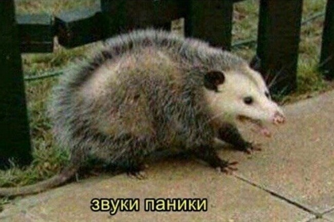 , ,       ,  , , , 