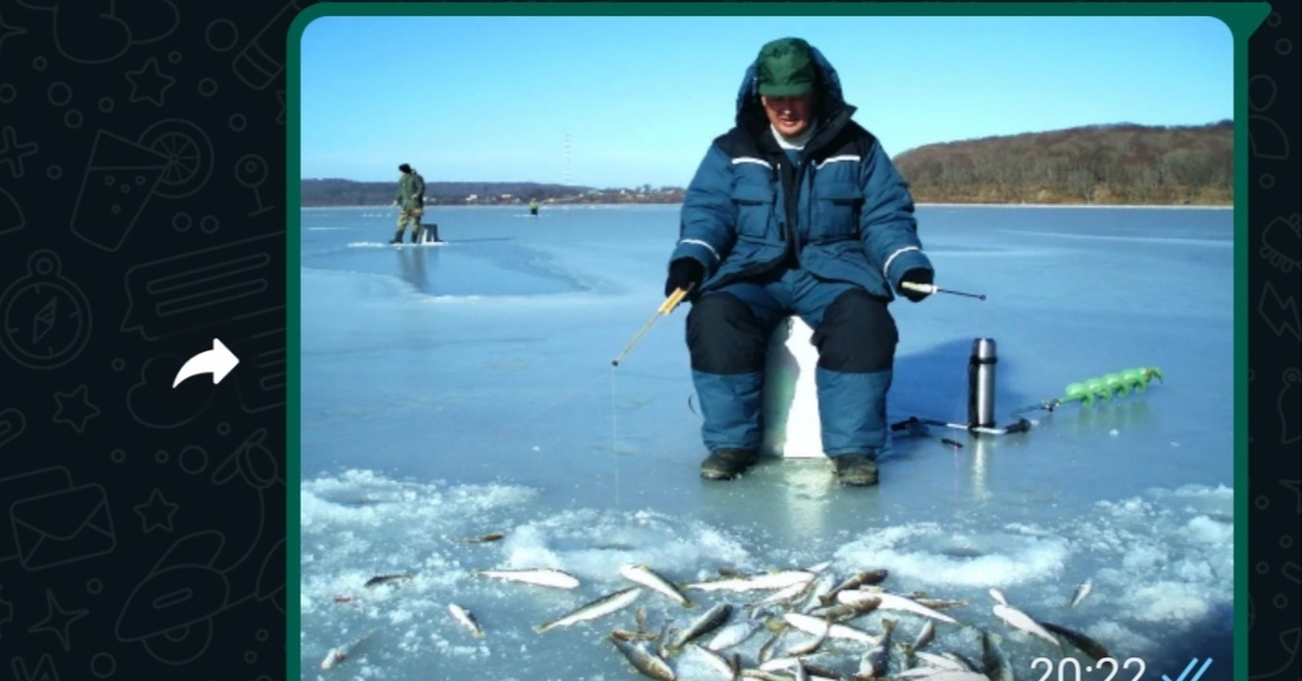 Навага ловля. Зимняя рыбалка. Зимняя рыбалка в Приморье. Ловля наваги. Навага зимняя рыбалка.