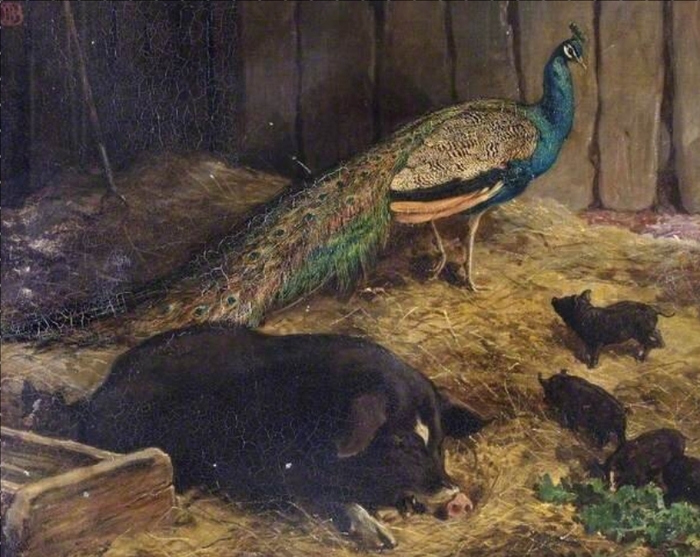 "Красавица и чудовище"