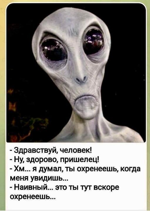 Земляне вы чё?