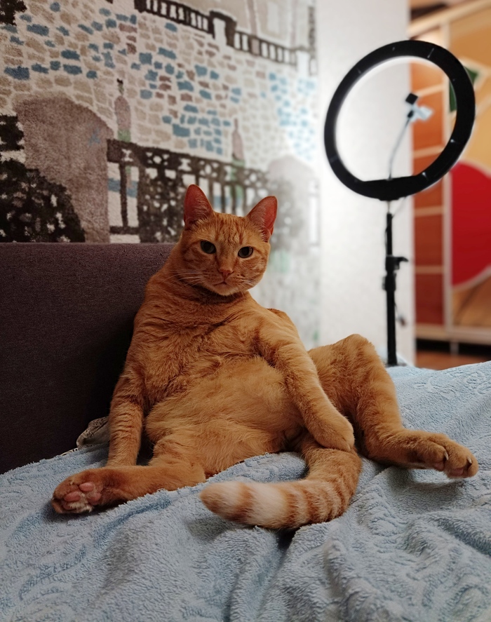      ) ,  , , ,  ,  