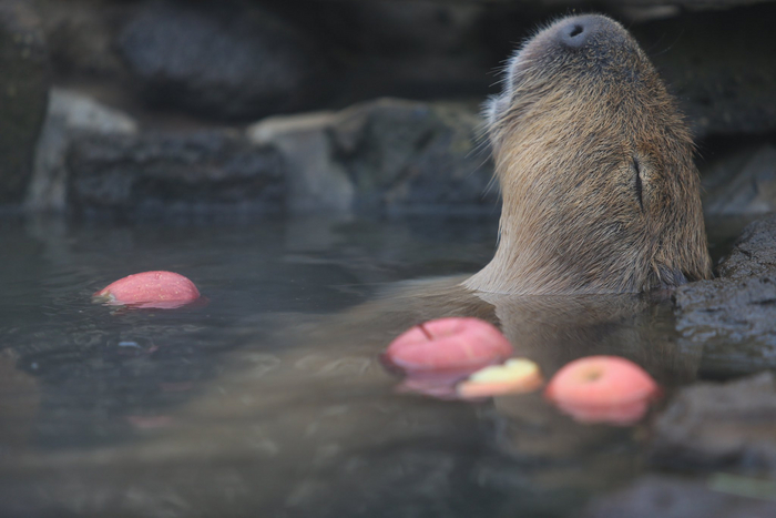 �������������