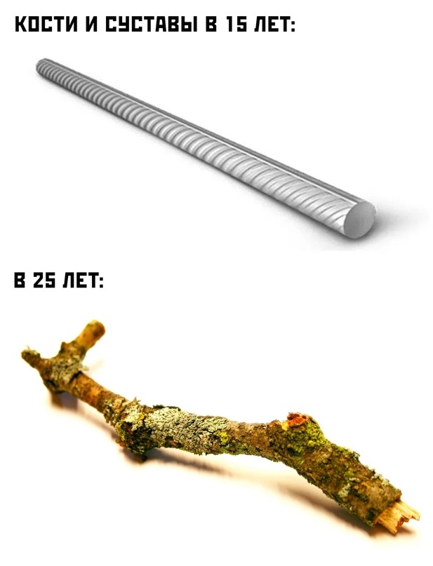 Суставы | Пикабу