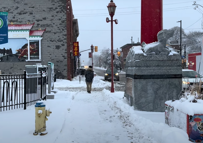 вот это странное животное - это собака по утверждению Иры