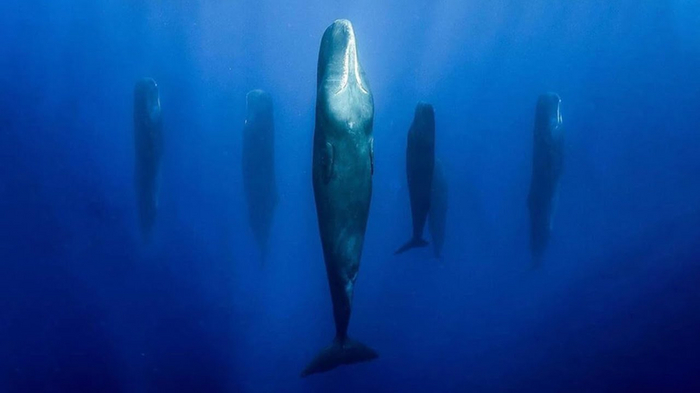 �������� ���� ���� ������! ������ ��� ������� � 18 �� 24 �����. ��� � ���-������� �������� ��������� � ������ ��������� ������� �������. ���� �� �����, ��� ���� ��� ���� �� �����������!