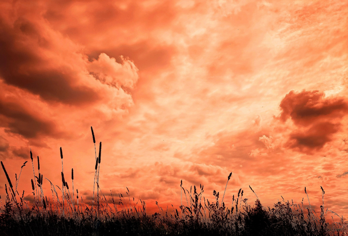 Есть ли жизнь на Марсе?