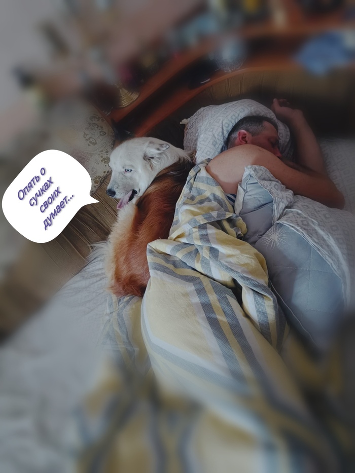 ��� ������ �������