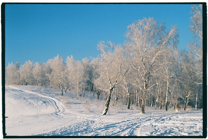 ������������ ������, ����� Fuji C200