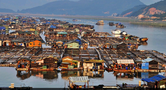 ������ ����� ����� ��������? ��� ���������� �������� ����� � ������������ ���������. �������� �� ������!