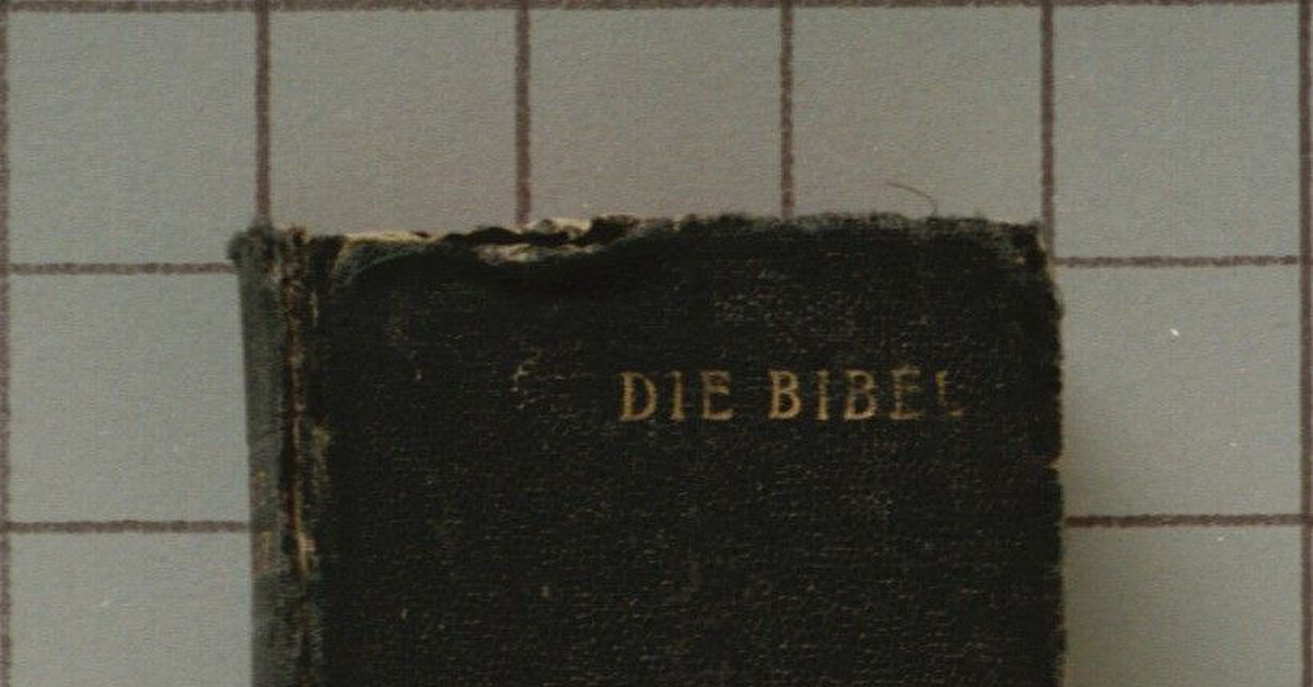 Библия, как память | Пикабу