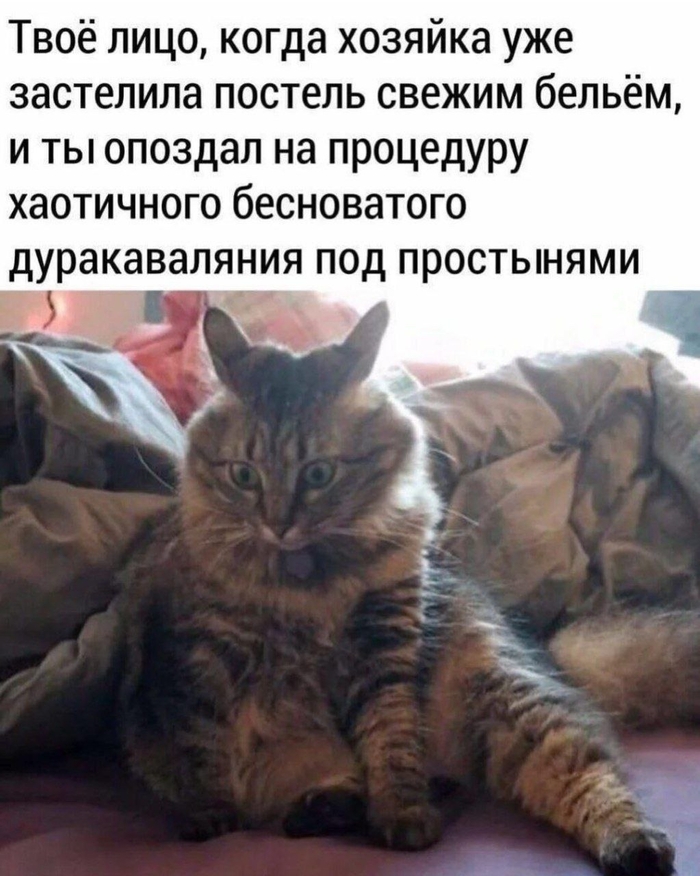 Момент упущен