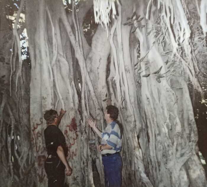 "������ � ��"